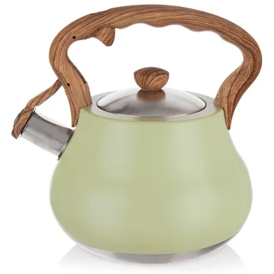 Produktbild von Orion Wasserkessel Pfeifkessel Wasserkocher mit Pfeife aus Edelstahl GREENISH 3 L