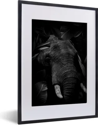 Produktbild von MuchoWow® Gerahmtes Poster Botanischer Elefant mit Blättern auf schwarzem Hintergrund - schwarz und weiß 30x40 cm - Poster mit Schwarzem Bilderrahmen Wandposter Rahmen Foto Bilder - Wandposter Schlafzimmer
