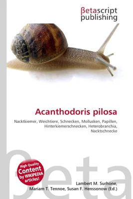 Produktbild von Acanthodoris pilosa