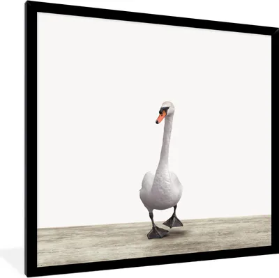 Produktbild von MuchoWow® Gerahmtes Poster Schwan - Tiere - Vogel - Jungen - Mädchen - Kinder 40x40 cm - Poster mit Schwarzem Bilderrahmen Wandposter Rahmen Foto Bilder - Mit Rahmen - Wanddekoration Schlafzimmer