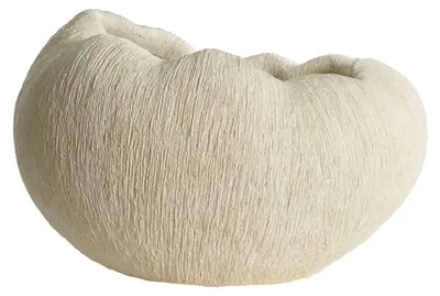 Image de Vase Light & Living Denisa en plastique crème – 52,5x42,5x34 cm