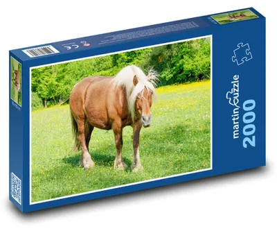 Obrázok produktu pre martinpuzzle - Puzzle 2000 - Kôn na pasienku
