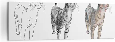 Produktbild von Bild auf Leinwand - Leinwandbild - Katzen Tiere Kinder Illustration - 160x50cm - Wand Bild - Wanddeko - Leinwanddruck - Bilder - Kunstdruck - Leinwand bilder - Wandkunst - AB160x50-3211
