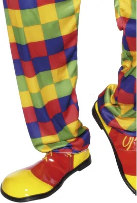 Image de Chaussures de clown