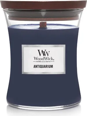 Image de Woowick ANTIQUARIUM Medium Hourglass 275 g