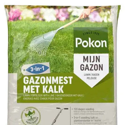 Zdjęcie produktu dla Bakker.com -nawóz Rasendünger z dodatkiem wapnia, opakowanie: 1 kg