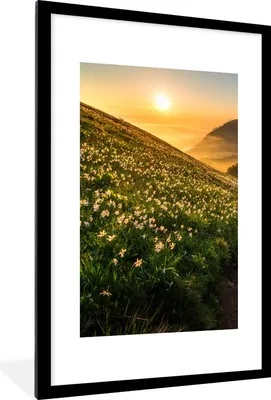 Produktbild von MuchoWow® Gerahmtes Poster Blumen - Sonne - Berge 60x90 cm - Poster mit Schwarzem Bilderrahmen Wandposter Rahmen Foto Bilder - Dekoration - Wandposter Wohnzimmer - Hochwertig