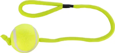 Obrázok produktu pre TRIXIE 3479, Pes, Lopta, 6 cm