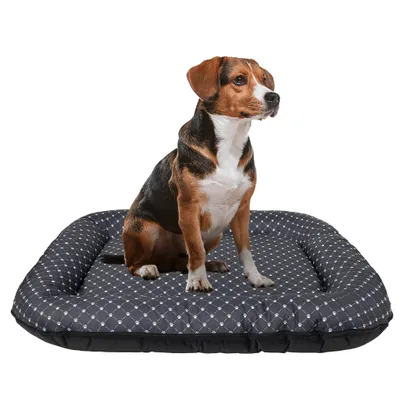 A dog sitting on a dog bed.