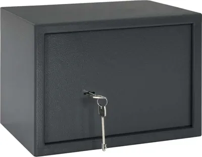 Immagine prodotto di vidaXL Cassetta di sicurezza con serratura grigio scuro 35 x 25 x 25 cm in acciaio