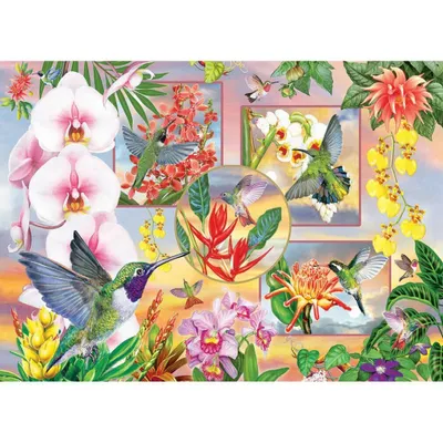 Produktbild von COBBLE HILL Kolibri-Puzzle 500 Teile