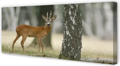 Produktbild von Leinwandbild 125x50 Wandkunst Hirschwald