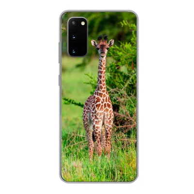 Produktbild von MuchoWow® Handyhülle Schutzhülle Hülle für Samsung Galaxy S20 Baby - Giraffe - Pflanzen Silikon Softcase Handy Hülle - Bild