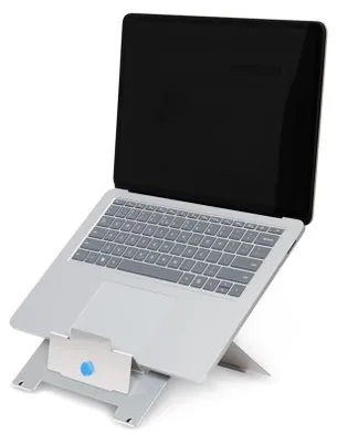 Imagen del producto de Soporte para portátil R-Go, de 25,40 cm (10") a 22", máximo 5 kg, elevador ajustable, color plateado (RGORISTSI)