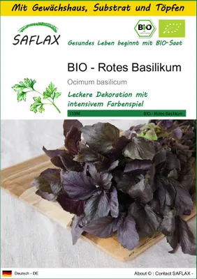 Produktbild von SAFLAX Anzucht Set - BIO - Rotes Basilikum - Ocimum basilicum - 400 Samen - Mit Mini-Gewächshaus, Anzuchtsubstrat und 2 Töpfen