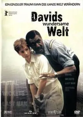 Produktbild von Davids wunderbare Welt