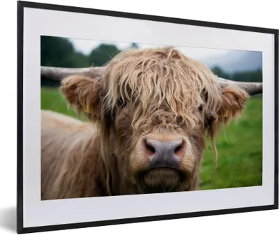 Produktbild von MuchoWow® Gerahmtes Poster Schottische Highlander-Kuh - Landschaft - Nahaufnahme 60x40 cm - Poster mit Schwarzem Bilderrahmen Wandposter Rahmen Foto Bilder - Schlafzimmer - Plakat in Rahmen - Drucken
