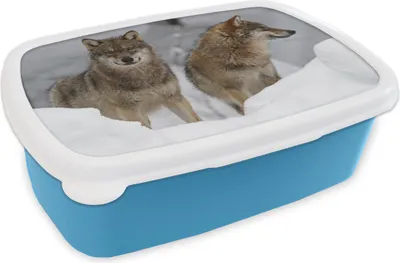 Produktbild von KitchenYeah® Lunchbox Brotzeit Brotdose 17x11 cm Wolf - Schnee - Tiere Kinder Brotzeitdose - Lunch - Kunststoff  - Brotbüchse - Sandwichbox - Lunchbox für Kinder