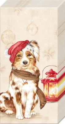 Produktbild von Papiertaschentücher "X-Mas Jack"