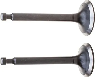 Produktbild von Motorventil Ersatzteil für G200F Motor, komplett