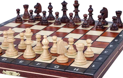 Produktbild von MAGNETISCHES SCHACH (27 cm)
