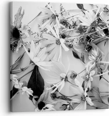 Produktbild von Bild auf Leinwand - Leinwandbild - Einteilig - Blumen Schwarzweiß Fotografie - 30x30cm - Wand Bild - Wanddeko - Wandbilder - Leinwanddruck - Bilder - Wanddekoration - Leinwand bilder - AC30x30-4740