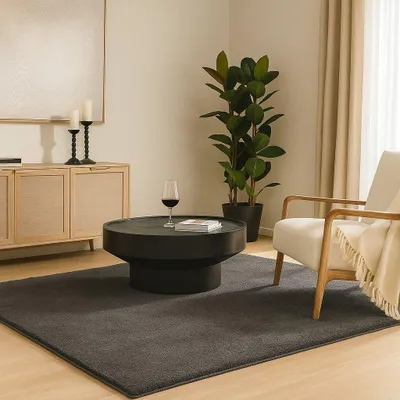 A living room scene with a large rug, coffee table, plant, and armchair.