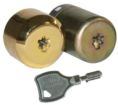 Image de Jeu de cylindre CAVITH CAVERS pour serrure cambrée A2P3 - ISEO - 56300061