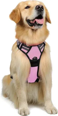 Produktbild von Hunde-Halsband, reflektierend und atmungsaktives Halsband, verstellbar und weich für große, mittelgroße oder kleine Hunde und Welpen