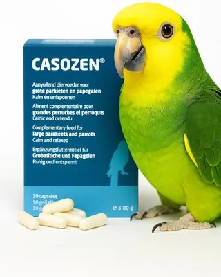 Zdjęcie produktu dla CASOZEN 10 kapsulek - Naturalny preparat przeciw stresowi i skubaniu piór dla papug
