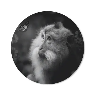 Produktbild von MuchoWow® Mauspad Mousepad Schmetterling - Tiere - Affe - Schwarz - Weiß 30x30 cm - Mousepads - Maus Mat - Pad - Mausunterlage - Tischunterlage - Schreibtischmatten