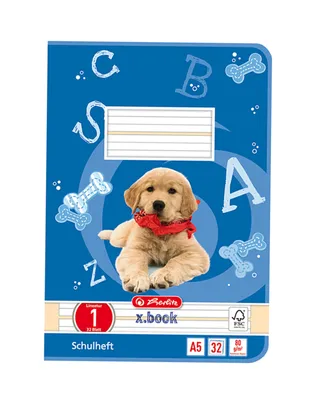 Produktbild von Herlitz 11387081 Heft A5, Lineatur 01, 32 Blatt, liniert 5 Stück