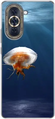 Produktbild von König Design Hülle kompatibel mit Huawei nova 10 Kunststoff Soft Handyhülle - Handy Case Qualle