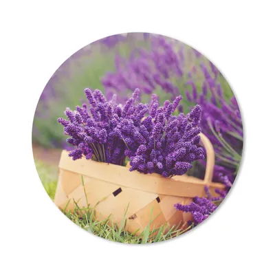 Produktbild von MuchoWow® Mauspad Mousepad Frischer Lavendel in einem Korb 50x50 cm - Mousepads - Maus Mat - Pad - Mausunterlage - Vinyl