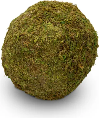 Produktbild von Moos Ball Ø 20cm | Moos Kugel