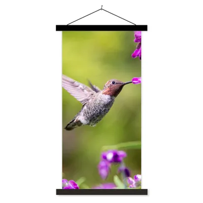 Produktbild von MuchoWow® Textilposter Kolibri - Vogel - Natur 60x120 cm mit schwarzem Rahmen - Magnete