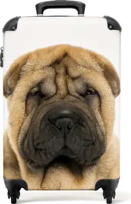 Produktbild von Kleine Reisekoffer mit 4 Rollen - Hund - Falten - Shar Pei - Welpe Handgepäck Koffer Trolley Rollkoffer