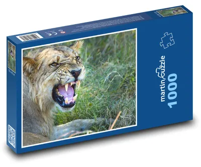 Zdjęcie produktu dla Puzzle 1000 Lew w dzikiej przyrodzie - martinpuzzle