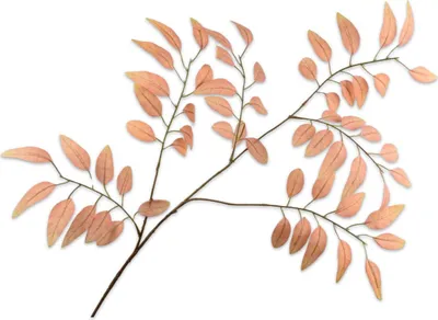 Produktbild von Silk-ka Kunstblume - Seidenblume - Blätterzweig - Orange-Pfirsich - 107 cm