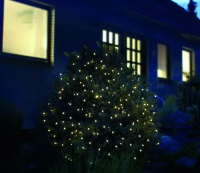 A bush decorated with fairy lights in front of a house at night.