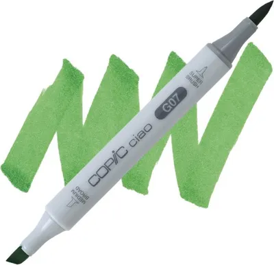 Obrázek produktu pro Lihová fixa COPIC Ciao oboustranná Brush & Chisel, G07 Nile green