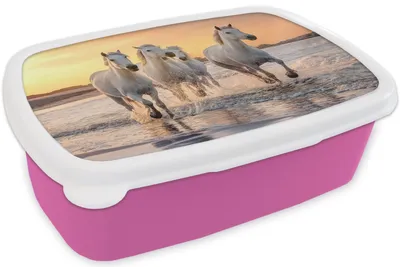 Produktbild von KitchenYeah® Lunchbox Brotzeit Brotdose 17x11 cm Pferde - Sonne - Meer - Strand - Tiere Kinder Brotzeitdose - Lunchpaket - Brotkasten  - Sandwich Box