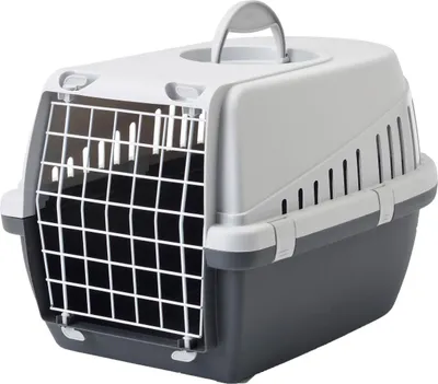 Obrázok produktu pre Prepravný box SAVIC Trotter 2 56 x 37,5 x 33 cm svetlosivá antracitová