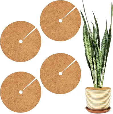 Produktbild von Kokos Mulchscheibe,Kokosscheibe,4 Stš¹ck 40cm Durchmesser Kokosmatte,Mehrfach Verwendbar Kokos Mulchscheibe,Blumenkš¹bel Winterschutz,Winterschutz fš¹r Kš¹belpflanzen,Rund Kokosmatte Winterschutz