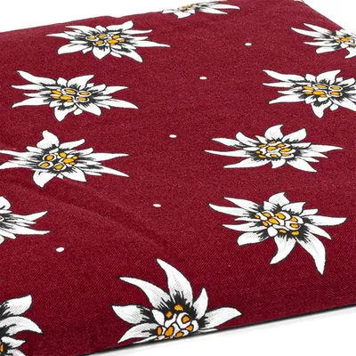 Produktbild von Johanniskernkissen 30 x 20 cm, Blume-Edelweiß - Als Wärmekissen & Kältekissen - Körnerkissen für Mikrowelle und Backofen - 30x20cm