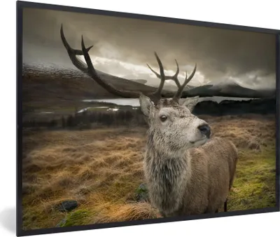 Produktbild von MuchoWow® MuchoWow® Gerahmtes Poster Geweih - Hirsch - Gebirge 90x60 cm - Poster mit zchwarzem Bilderrahmen - Fotorahmen - Foto-Plakat