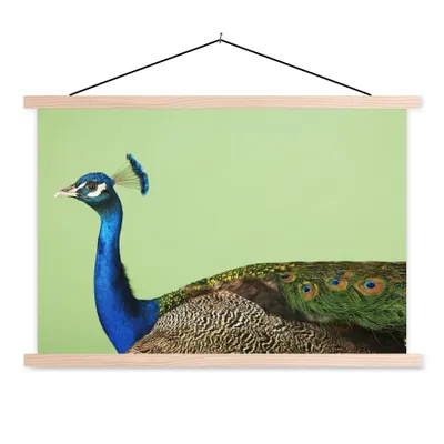 Produktbild von MuchoWow® Textilposter Pfau - Vogel - Federn 60x40 cm mit holzfarbenen Rahmen - Bilder