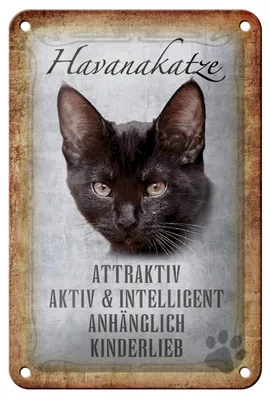 Produktbild von Blechschild Spruch 12x18cm Havanakatze kinderlieb Schild
