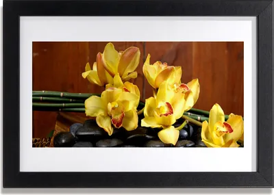 Produktbild von Bild 30x20 MDF-Rahmen Wandkunst Blume Orchidee Pflanze