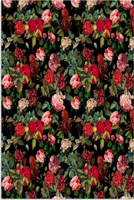 Produktbild von MuchoWow® Poster Blumen - Vintage - Rosen 60x90 cm - Wanddekoration